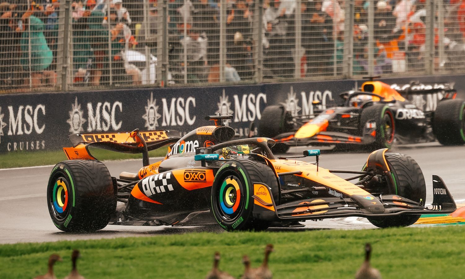 norris f1 gp australia