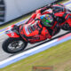 sbk 2025 misano bulega