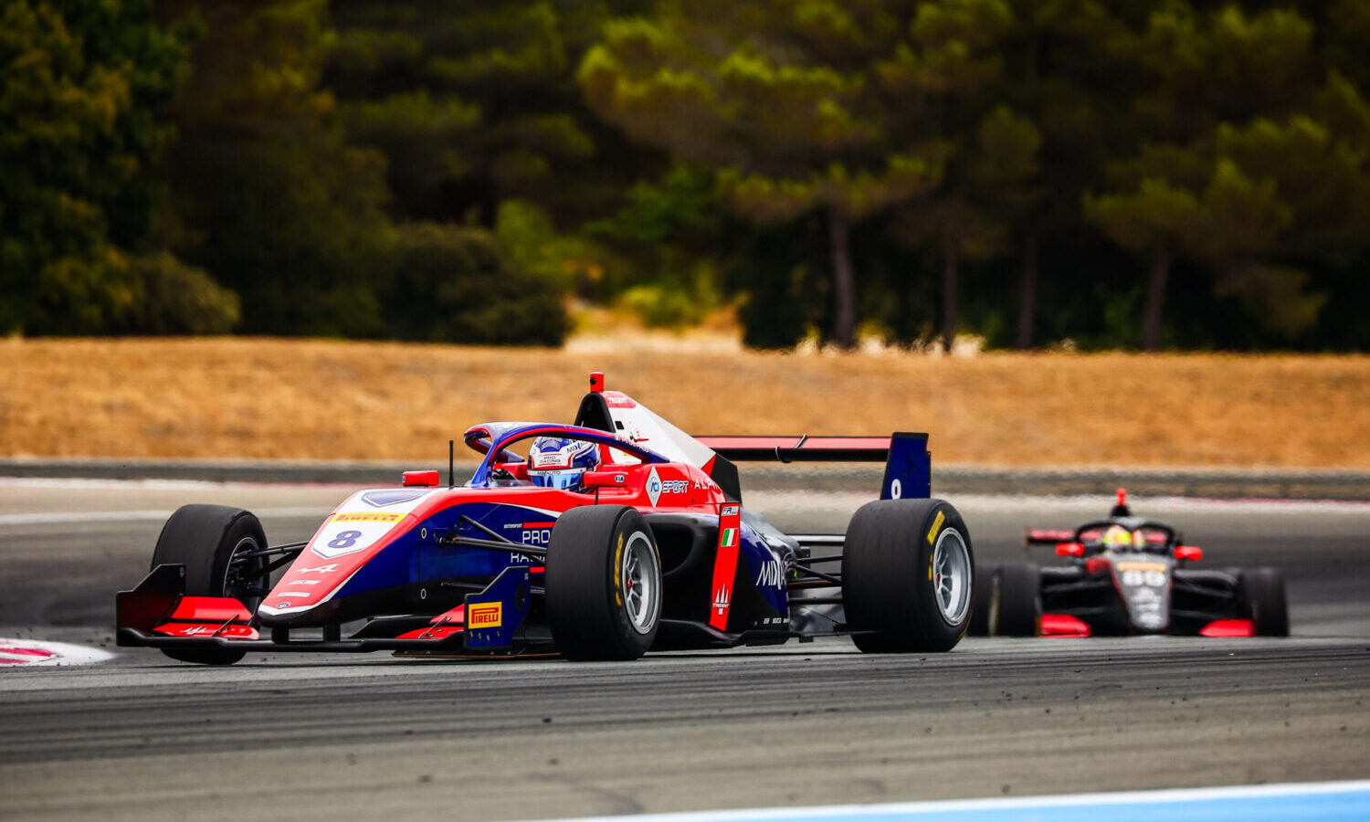 de palo freca paul ricard