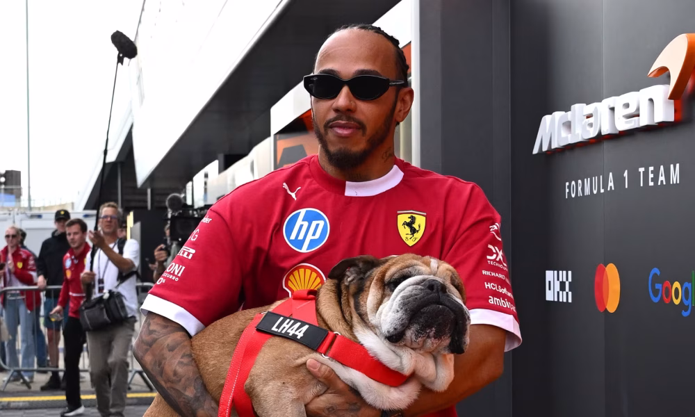 Roscoe in braccio a Hamilton nel paddock F1