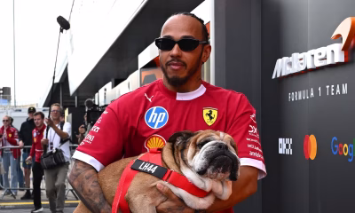 Roscoe in braccio a Hamilton nel paddock F1