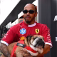 Roscoe in braccio a Hamilton nel paddock F1