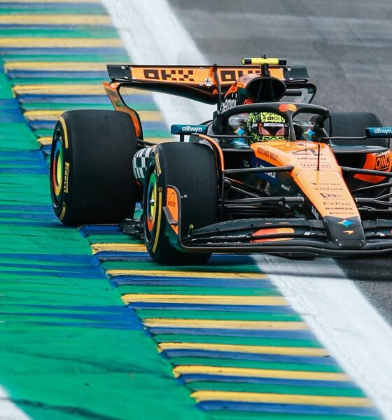 norris f1 gp brasile 2025