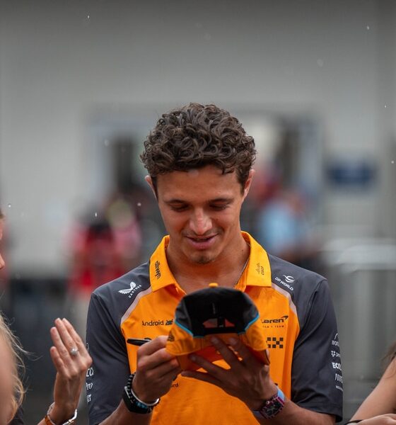 Il campione del mondo di F1, Lando Norris (© Depositphotos)