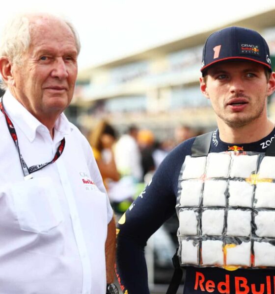 marko verstappen red bull