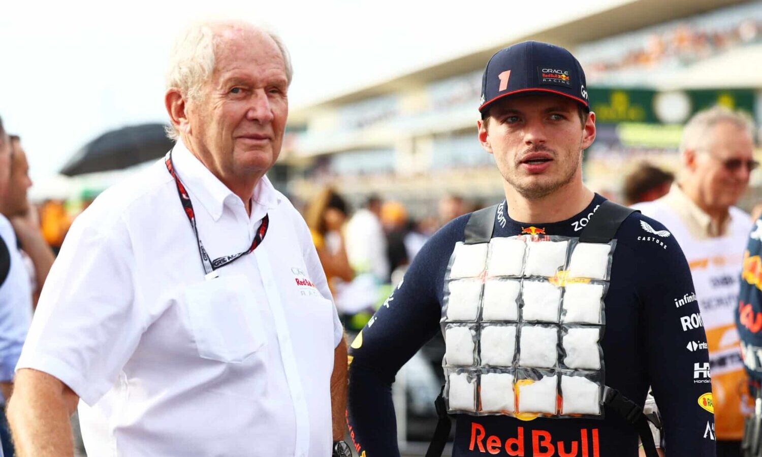 marko verstappen red bull