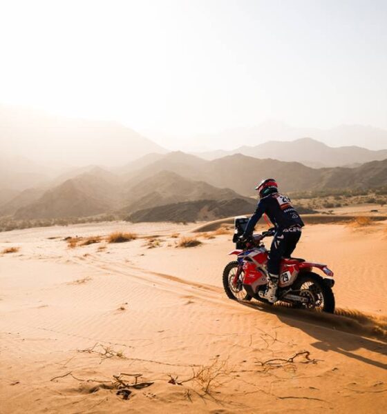 Paolo Lucci in azione