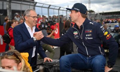 domenicali verstappen f1