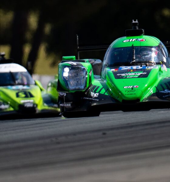 elms #29 le castellet
