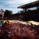 f1 gp italia monza
