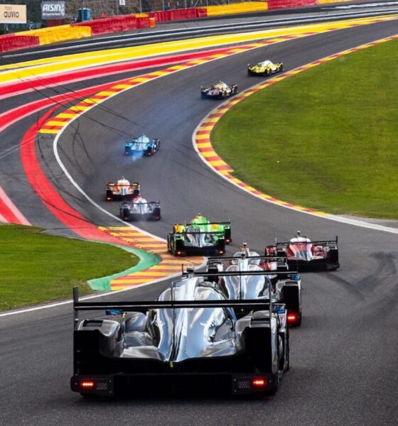 elms spa 2025