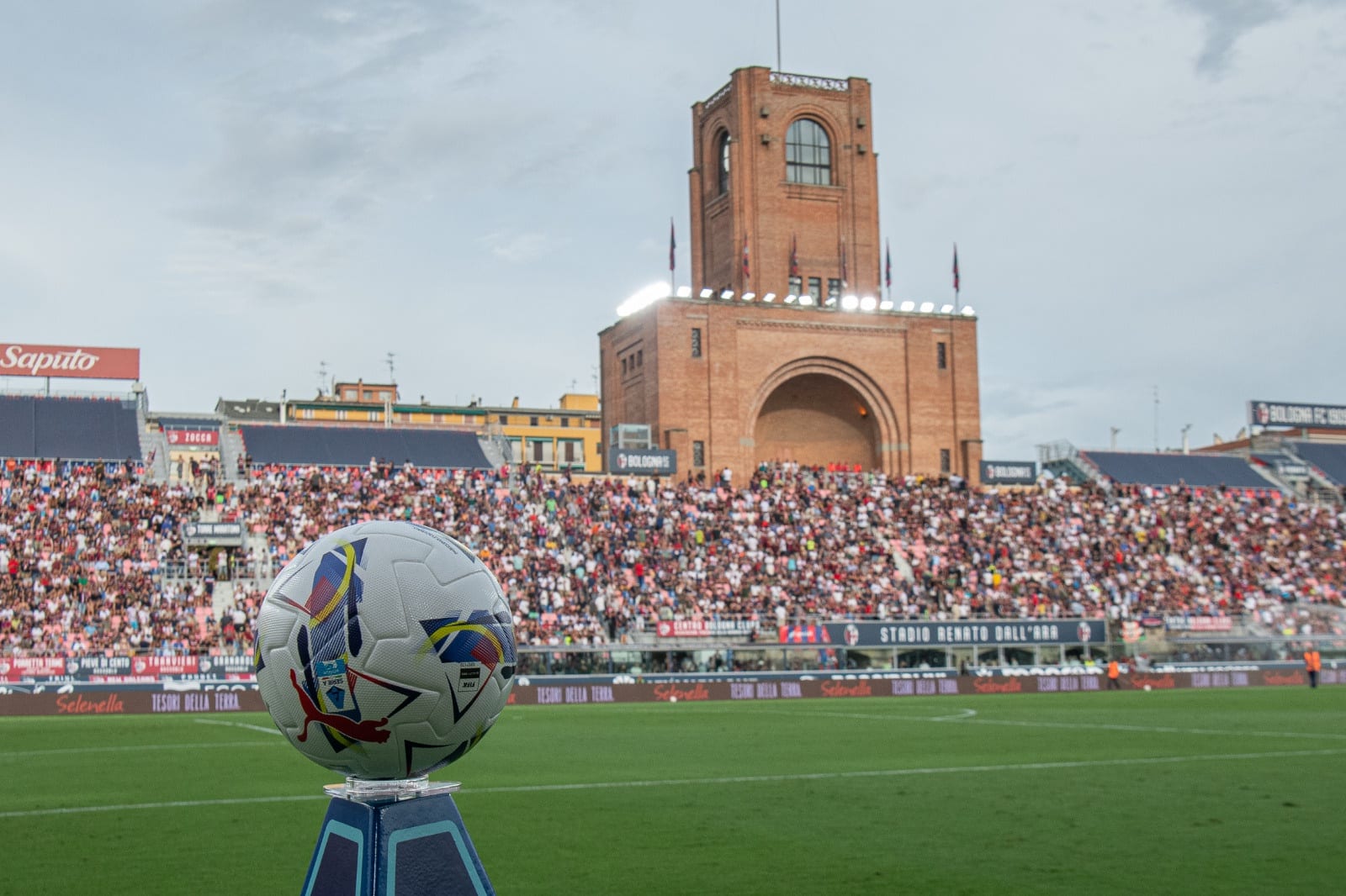 Dall'ara bologna